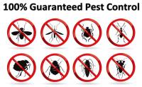 Residential Pest Control Brisbane image 5